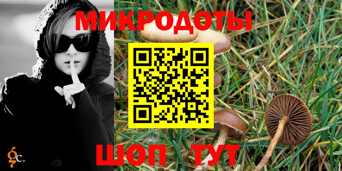 Псилоцибиновые грибы Psilocybe  Вход с VPN  Владимир 