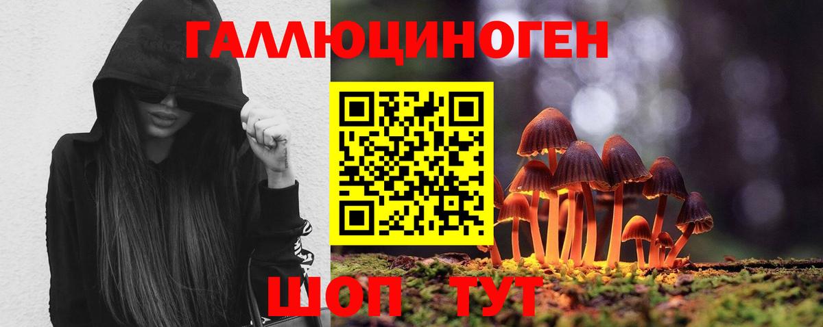 Псилоцибиновые грибы Magic Shrooms Владимир